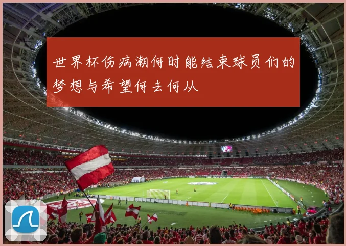 世界杯伤病潮何时能结束球员们的梦想与希望何去何从