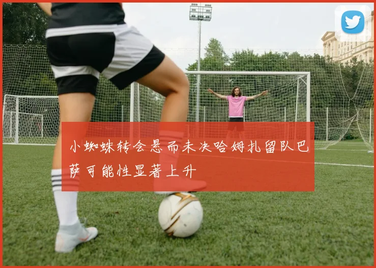 小蜘蛛转会悬而未决哈姆扎留队巴萨可能性显著上升