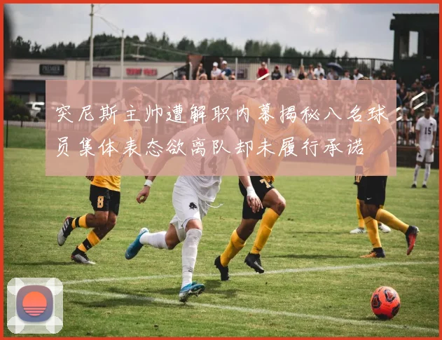 突尼斯主帅遭解职内幕揭秘八名球员集体表态欲离队却未履行承诺