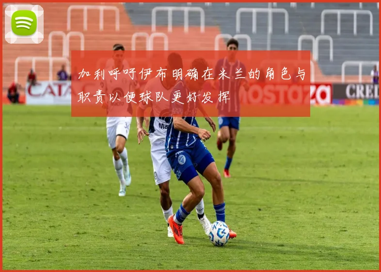加利呼吁伊布明确在米兰的角色与职责以便球队更好发挥