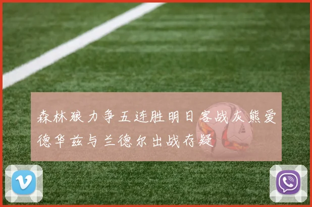 森林狼力争五连胜明日客战灰熊爱德华兹与兰德尔出战存疑