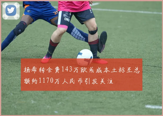 杨希转会费143万欧或成本土标王总额约1170万人民币引发关注