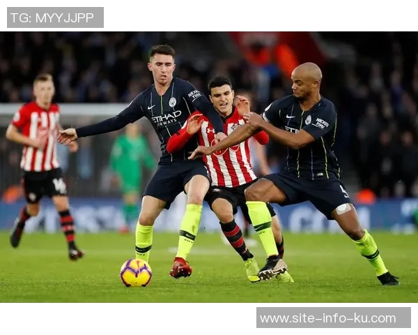 英超球队受非洲杯影响分析桑德兰主力缺席人数最多其他五队未受影响 英超球队受非洲杯影响分析桑德兰主力缺席人数最多其他五队未受影响