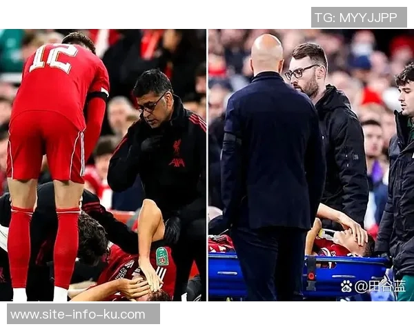 利物浦不考虑引进奥多涅兹莱奥尼计划下赛季初期复出